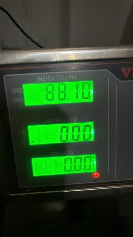 USED | ENGINE TIMING COVER DETROIT 12.7 60 SERIES | SKU4
